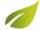 tree_02