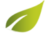 tree_02